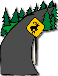 deer crossing